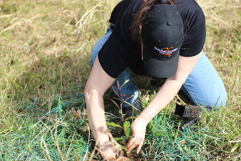 planting4