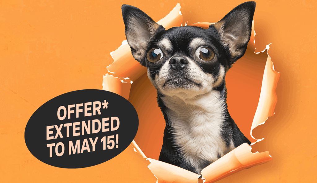 Summerland Cashback Offer