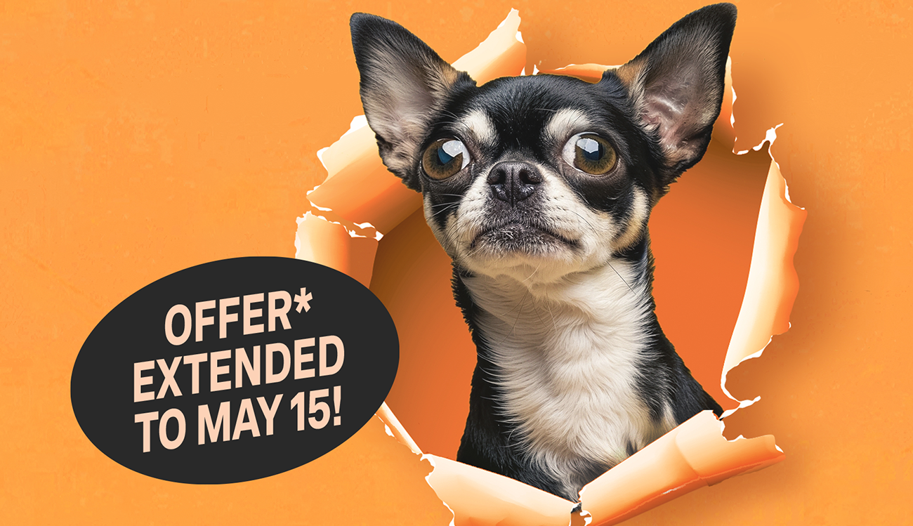 Summerland Cashback Offer